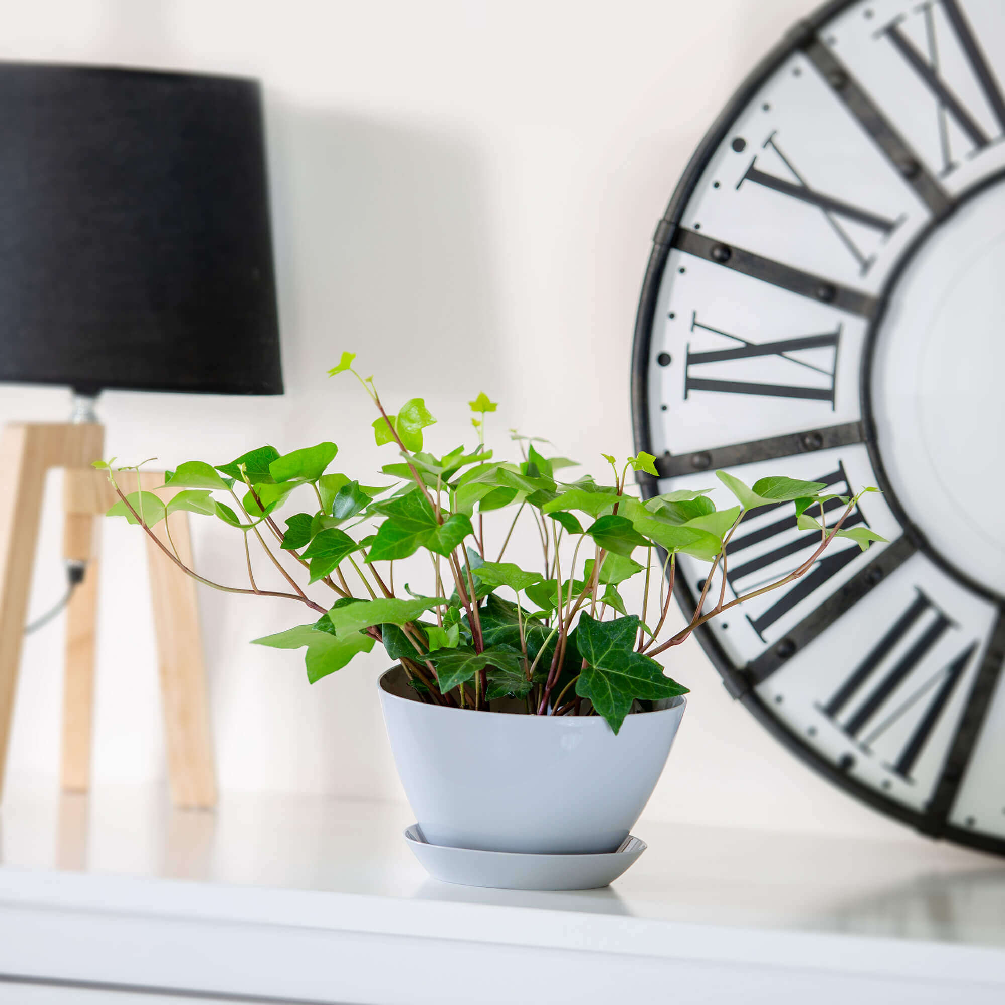 Doniczka trójkątna z podstawką 14 x 10 cm, szara