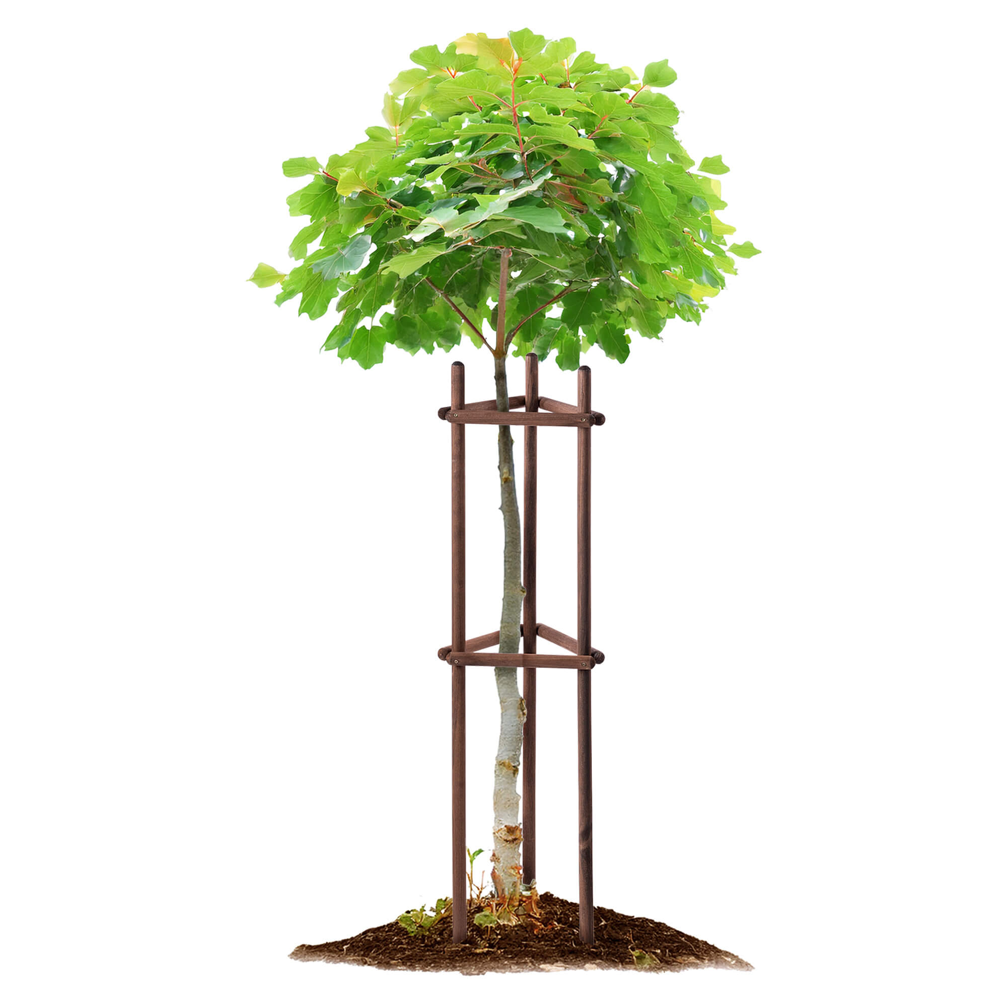 Podpora ogrodowa trójnóg Redon 130 cm drewniana brązowa