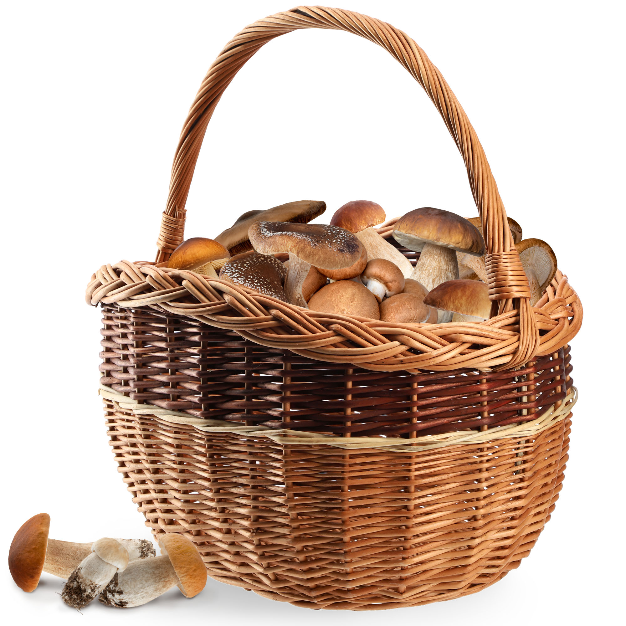 Kosz wiklinowy Anfo 43 x 30 cm, naturalny