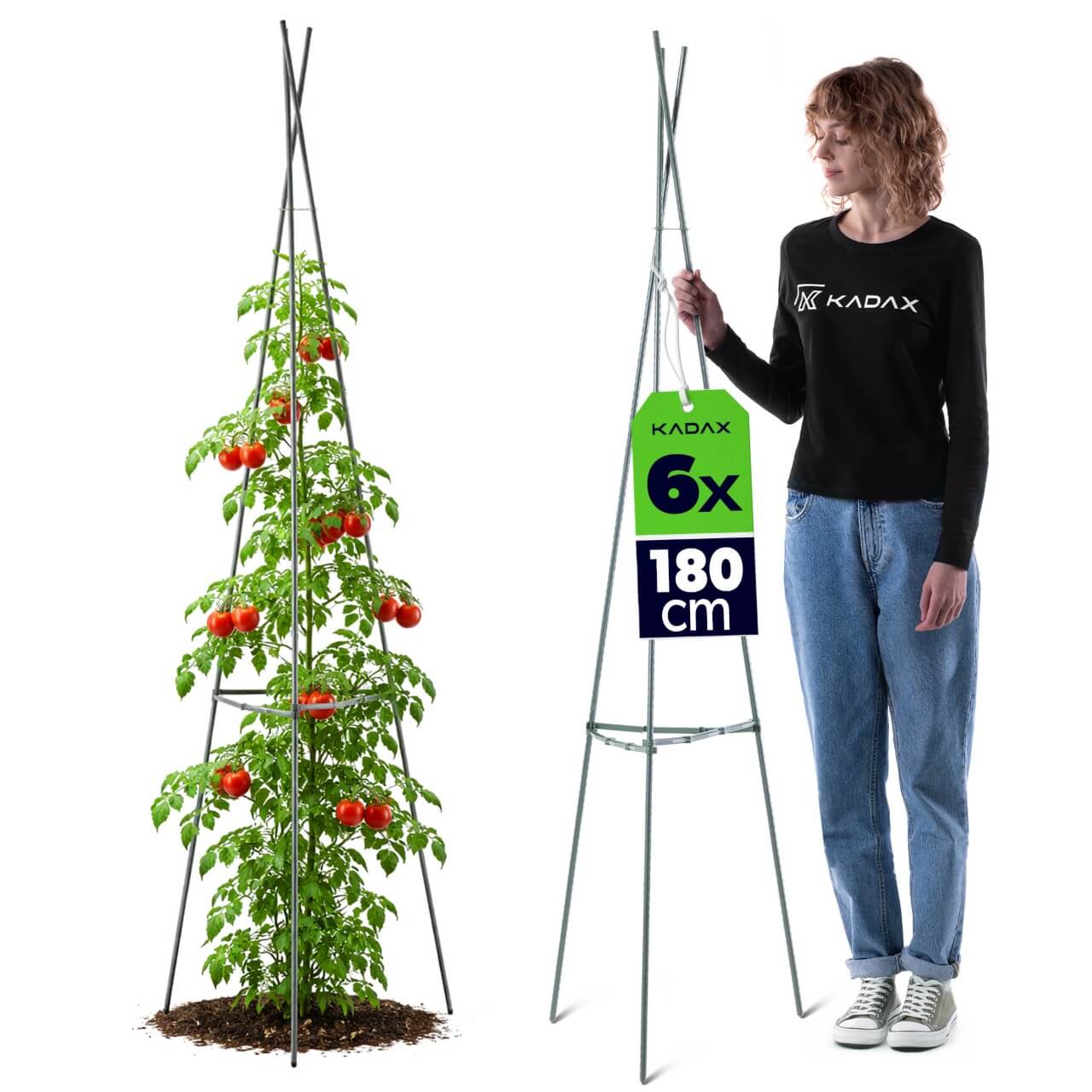 Stożkowka podpora ogrodowa Ambillou 3-elementowa 180 cm zielona 6 szt.