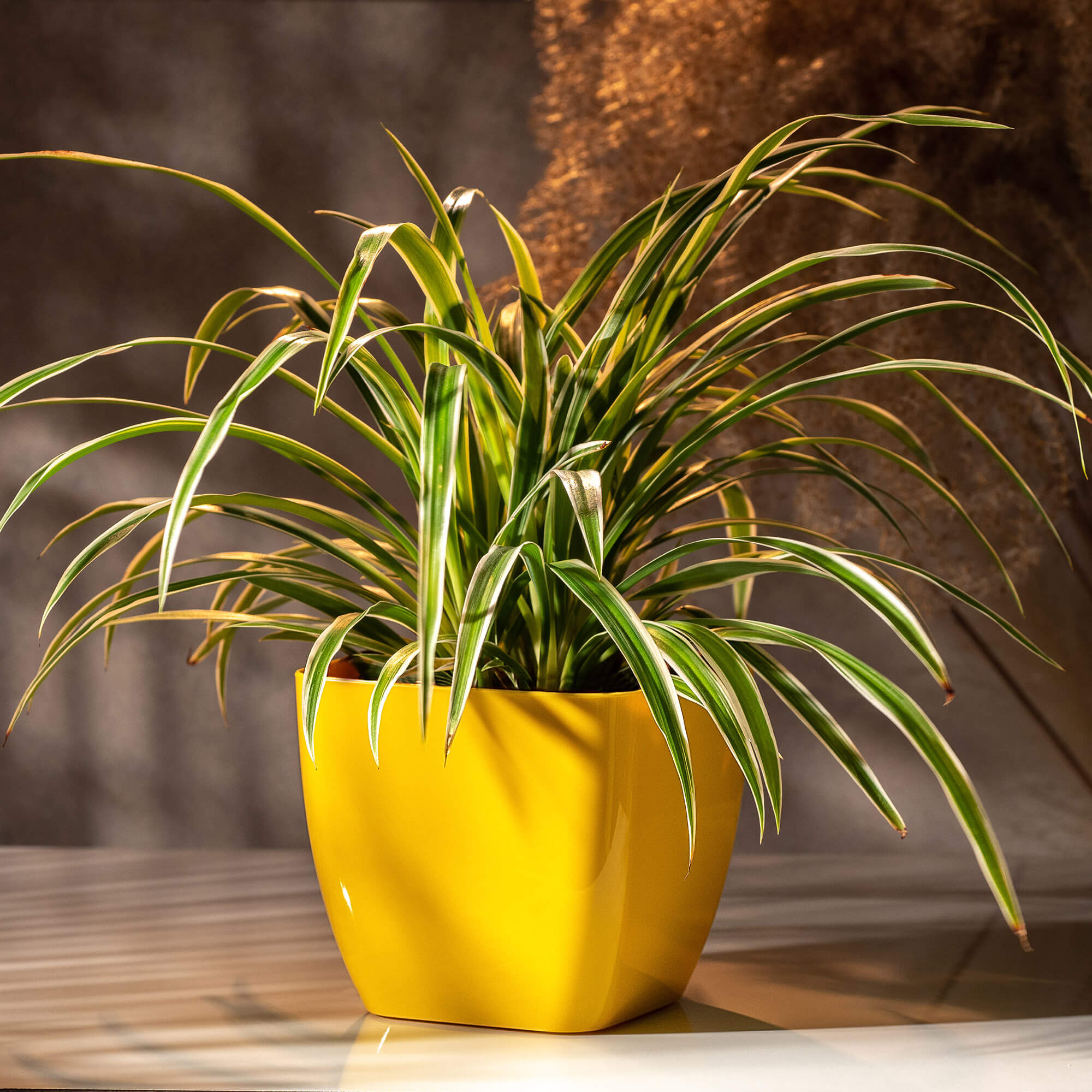 Doniczka kwadratowa Borgo 8 cm, żółta