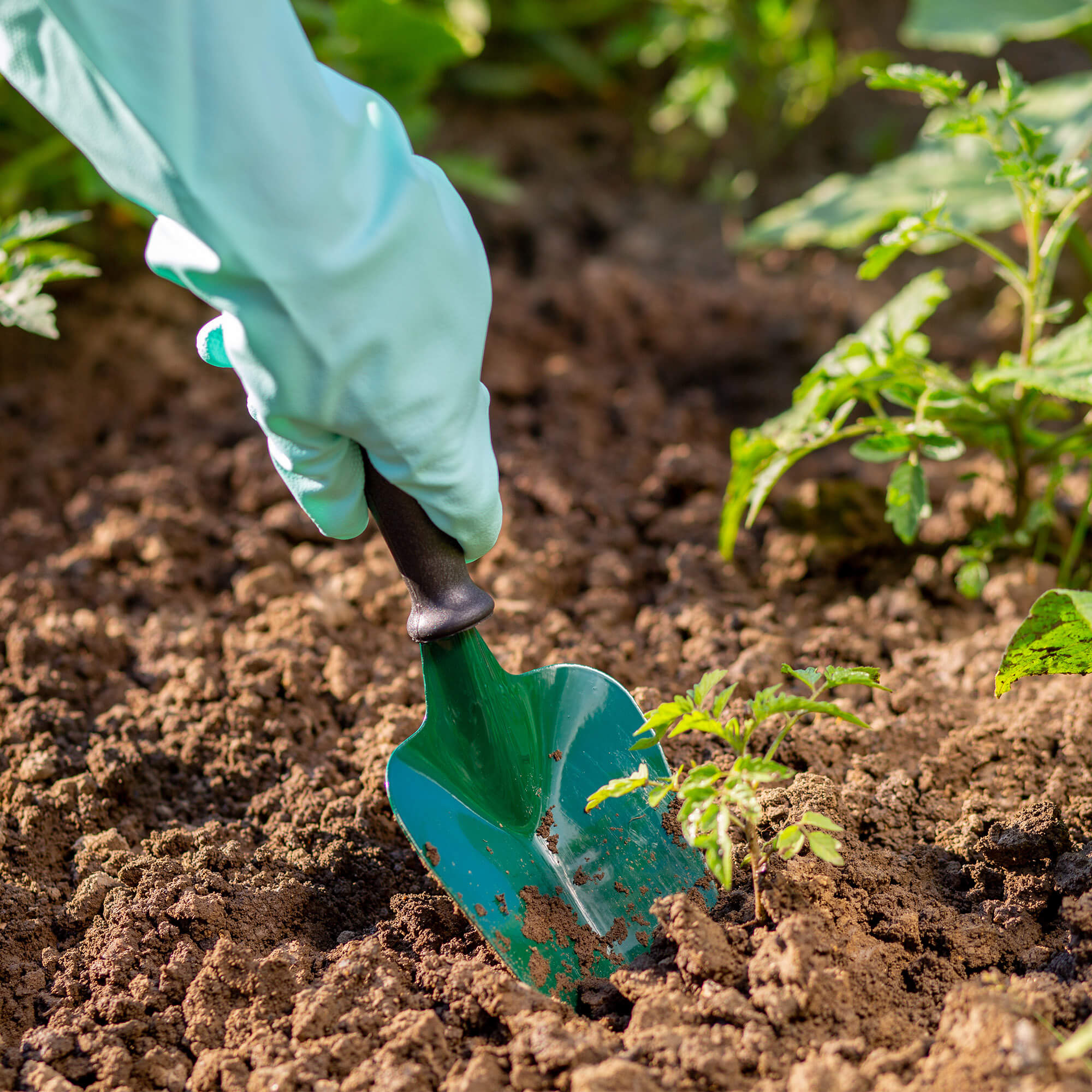 Łopatka ogrodnicza z trzonkiem Arnes 31 x 10 cm, zielony