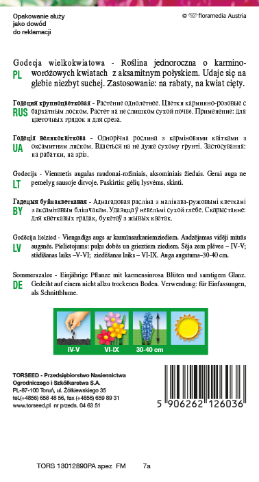 Godecja wielkokwiatowa - Godetia grandiflora odcienie czerwieni karminowoszkarłatna 1g