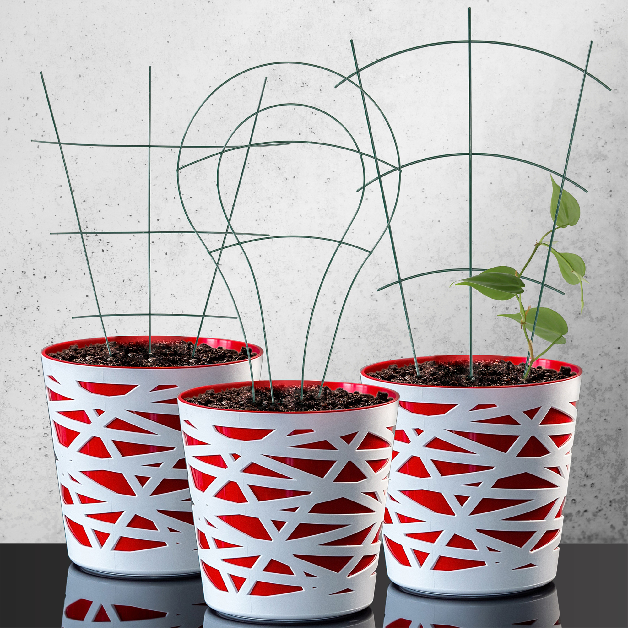 Podpora doniczkowa do roślin zielona Chieti, 3 szt.