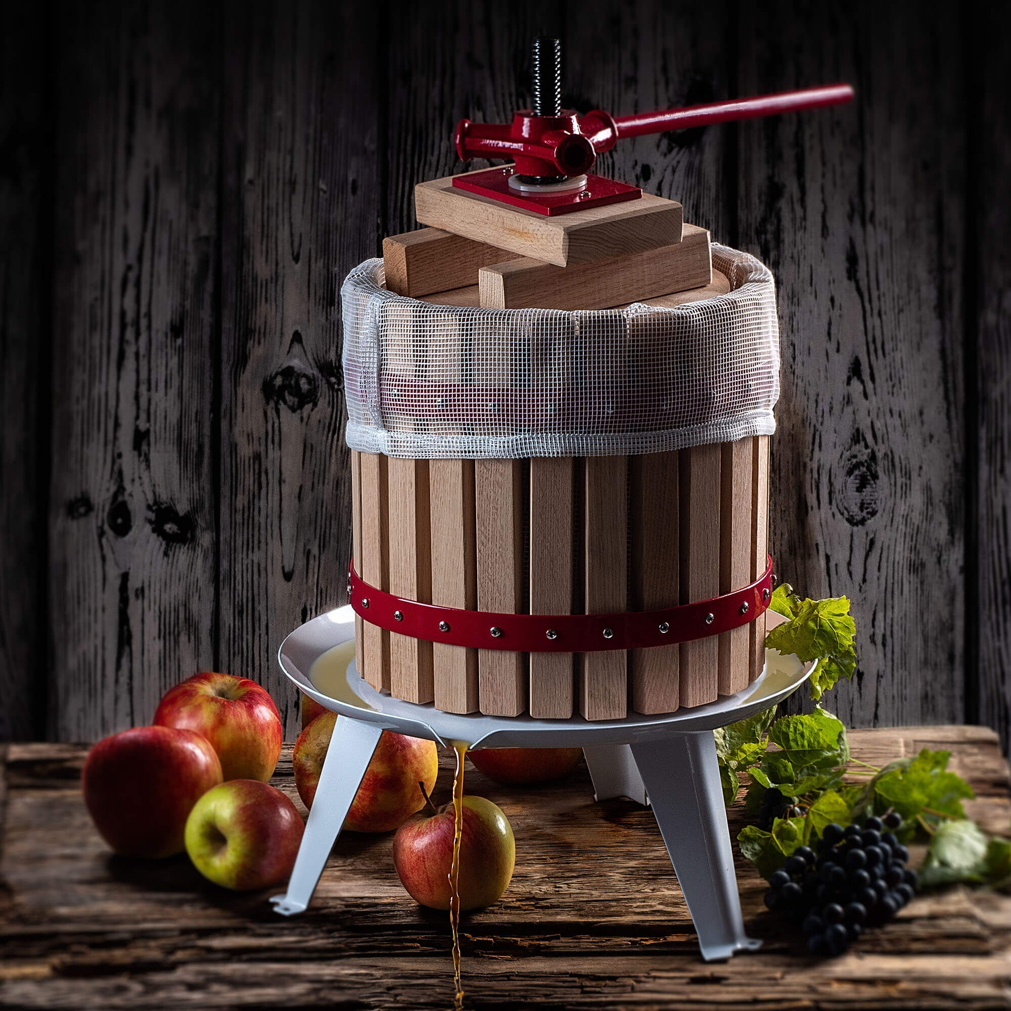 Wyciskarka do owoców z filtrem Silba 12L