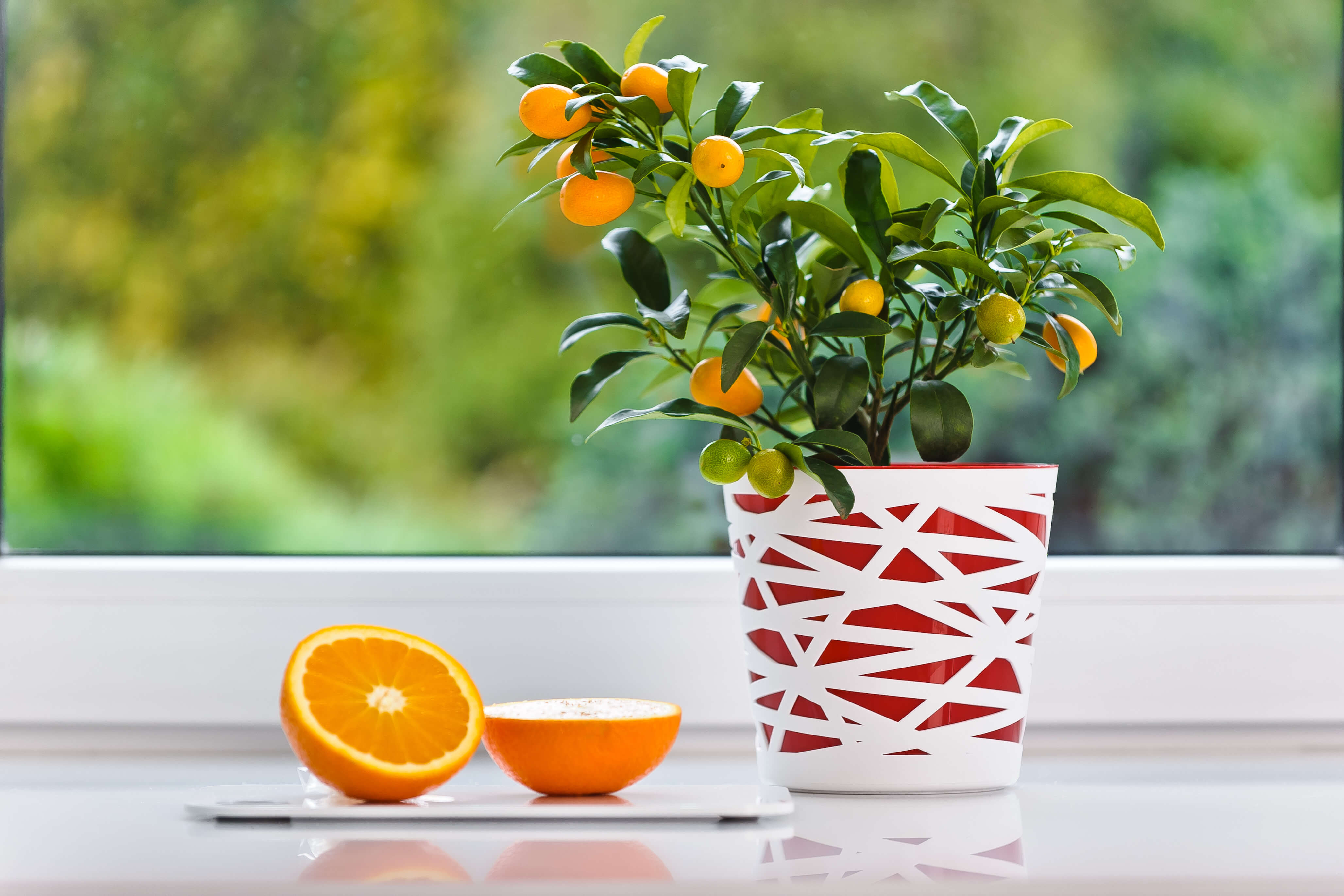 Doniczka z wkładem Rusio 15 cm, czerwona