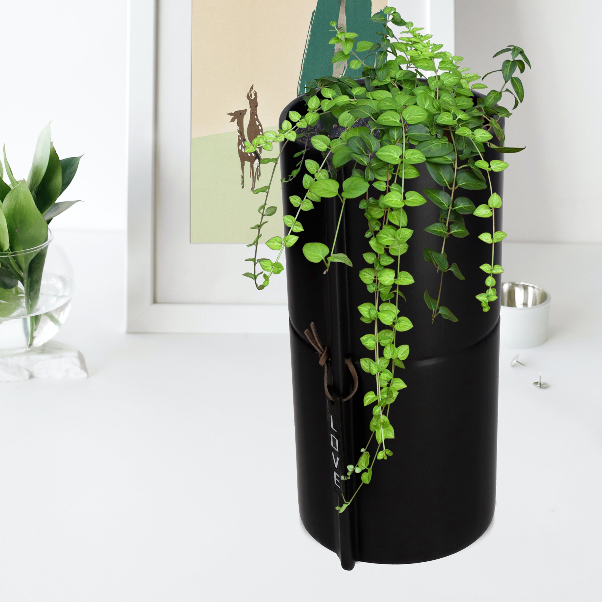 Osłonka na kwiaty Lemps ceramiczna 11 x 23 cm, czarna
