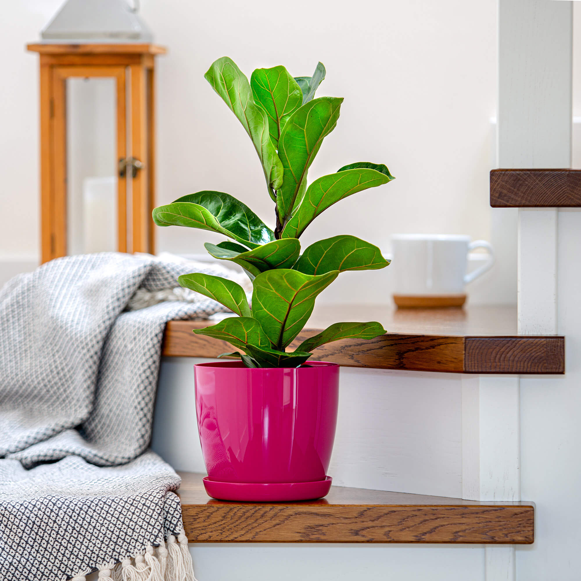 Doniczka na kwiaty z podstawką 14 cm, różowa