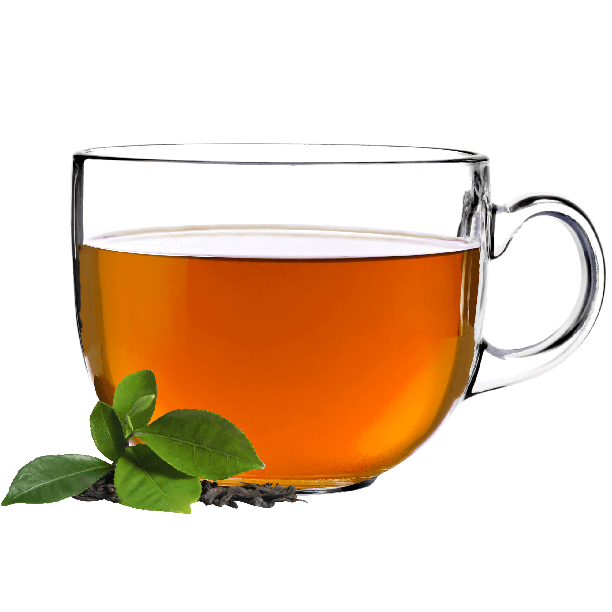 Kubki do kawy i herbaty Gatteo 450 ml, 6 szt.