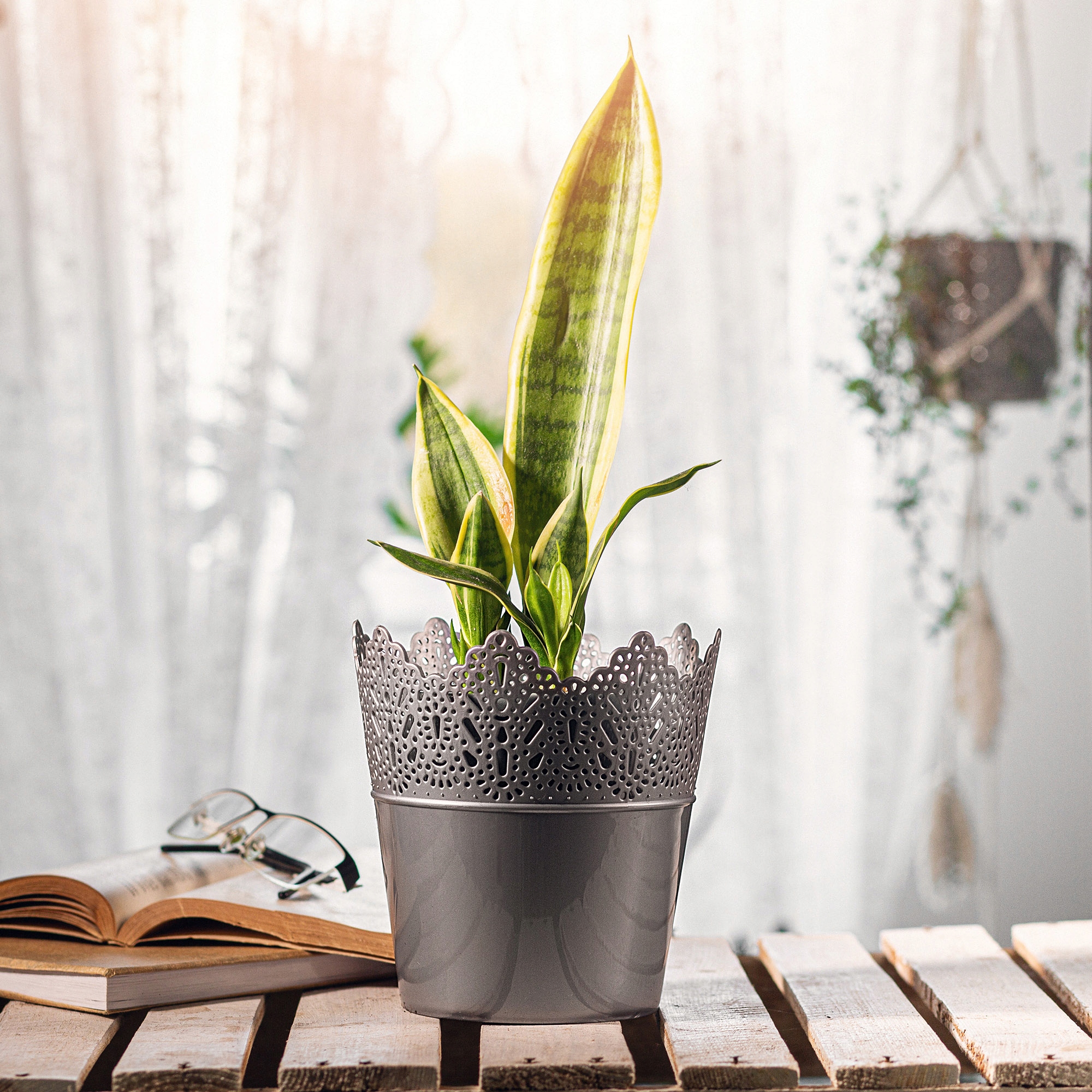 Doniczka Calade na kwiaty z koronką 16 x 18 cm, srebrna