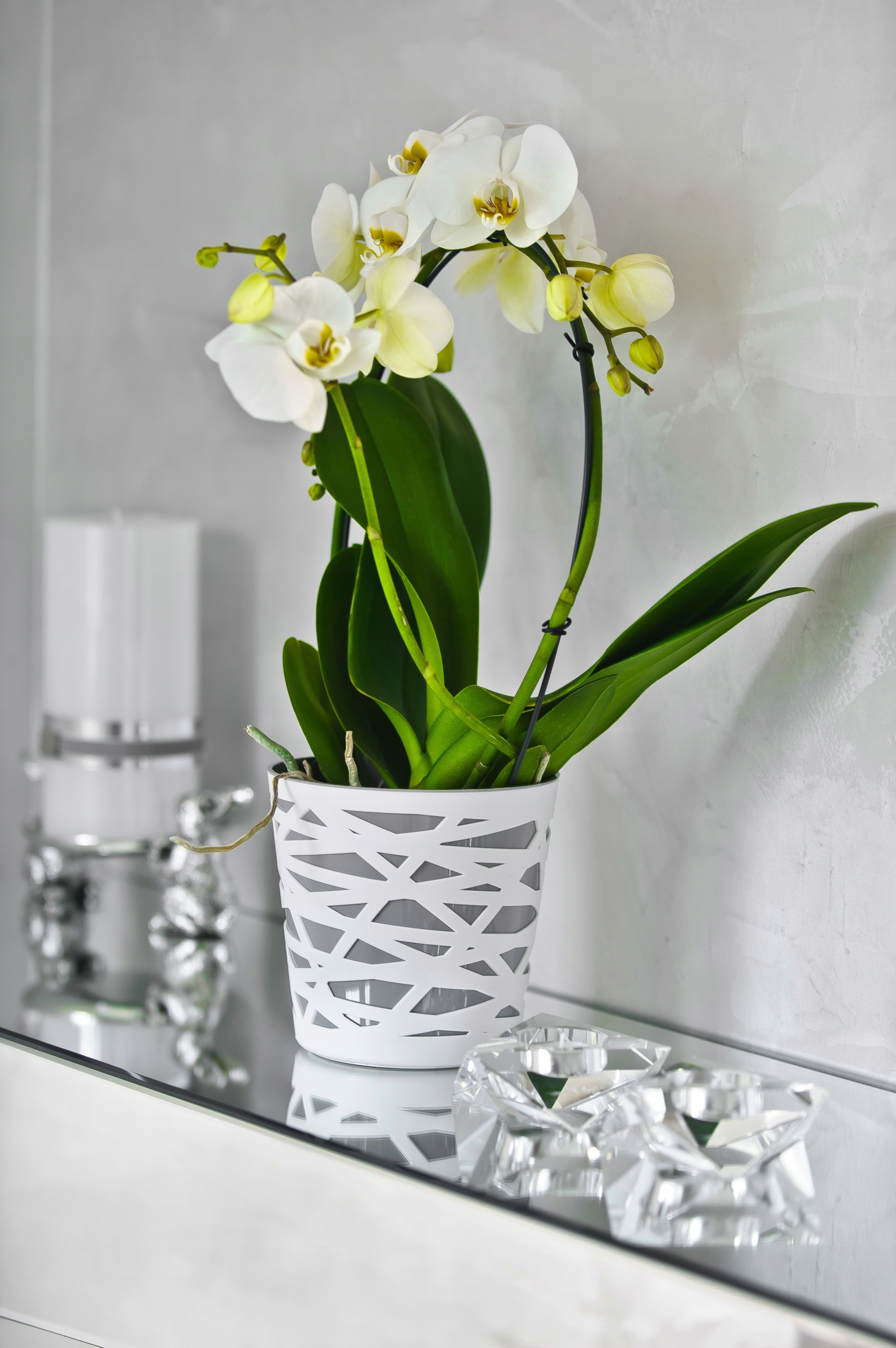 Doniczka z wkładem Rusio 17 cm, szara