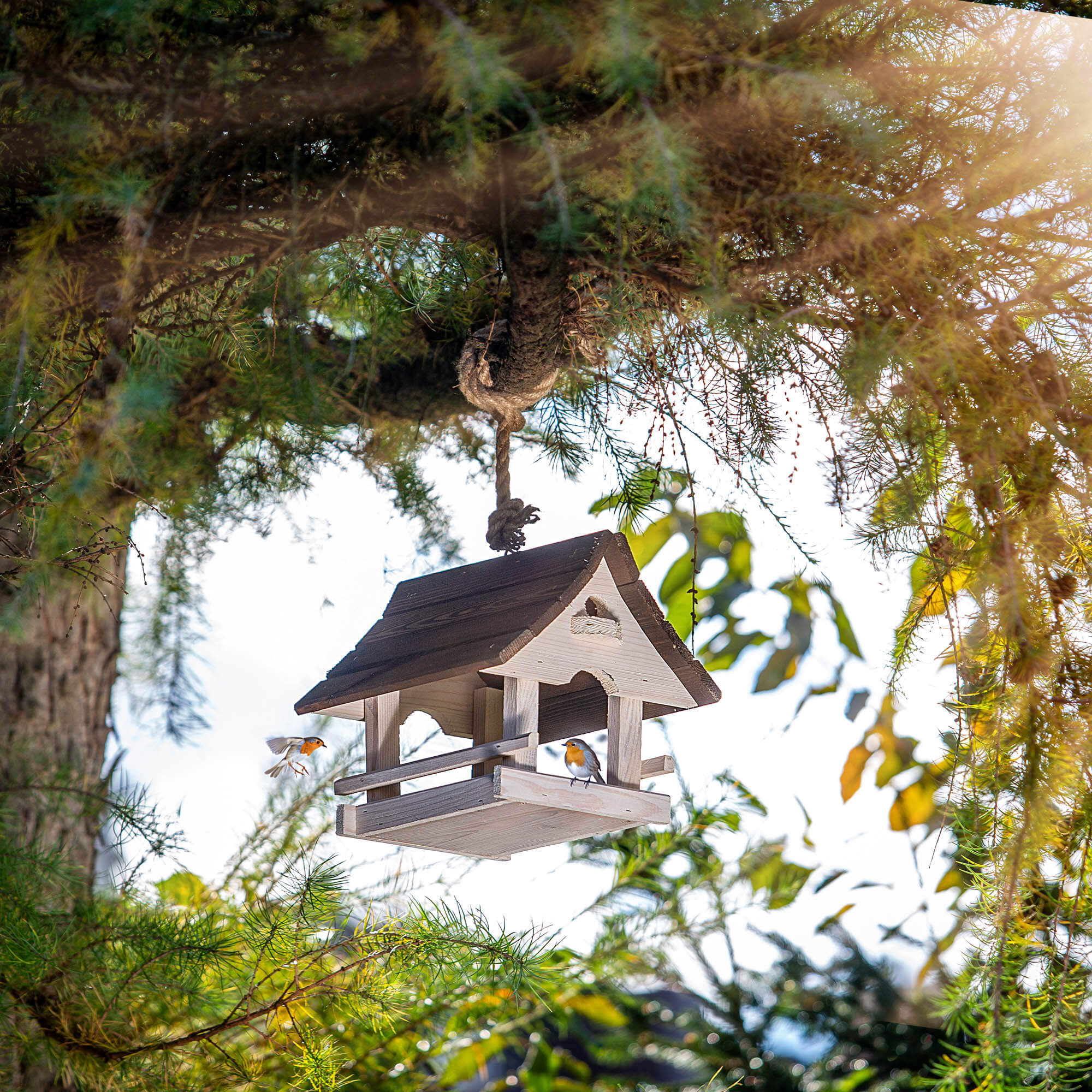 Karmnik dla ptaków Arbis domek 30 x 25 cm biało-brązowy