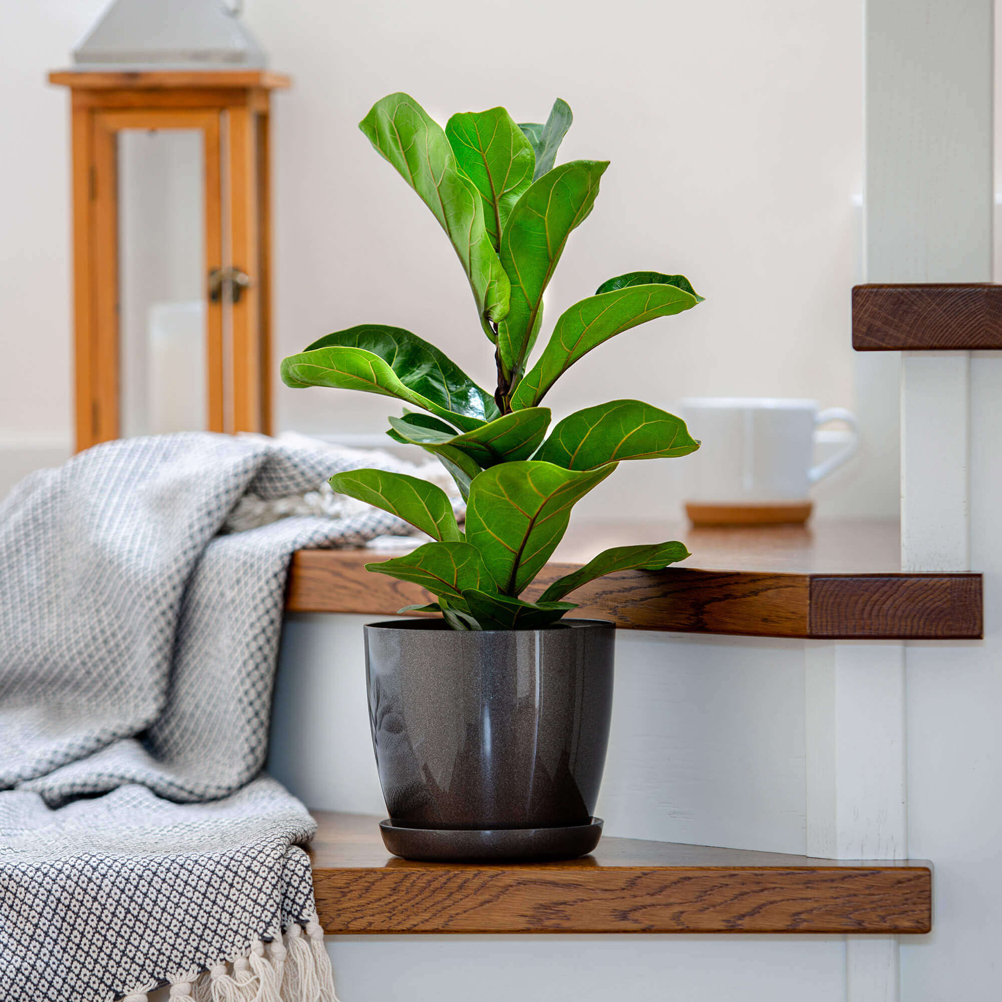 Doniczka na kwiaty z podstawką 14 cm, grafitowa