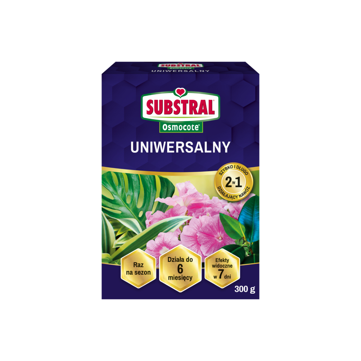 Substral Osmocote Uniwersalny nawóz 2w1 do roślin domowych i balkonowych 300g