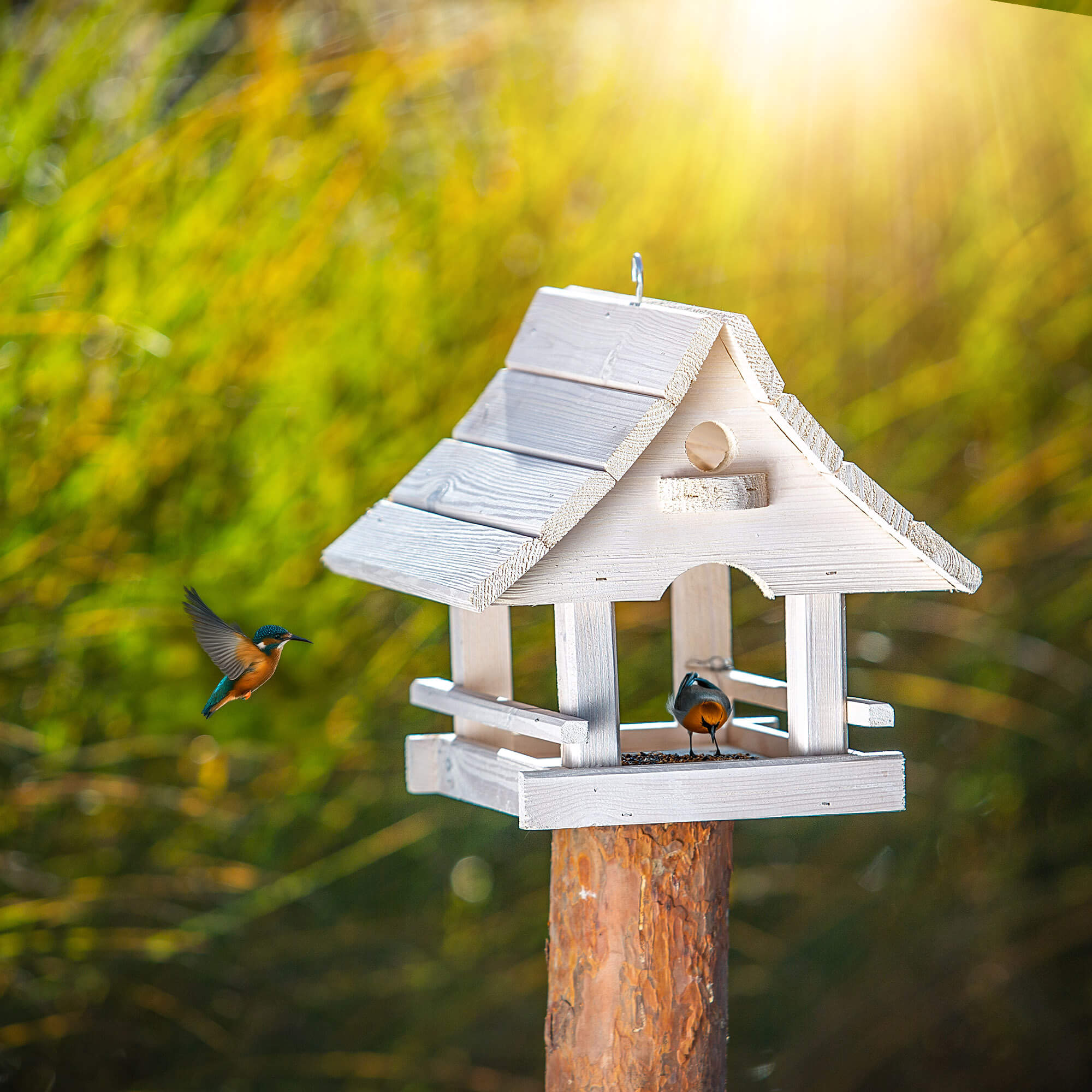 Karmnik dla ptaków Arbis domek 30 x 25 cm biały