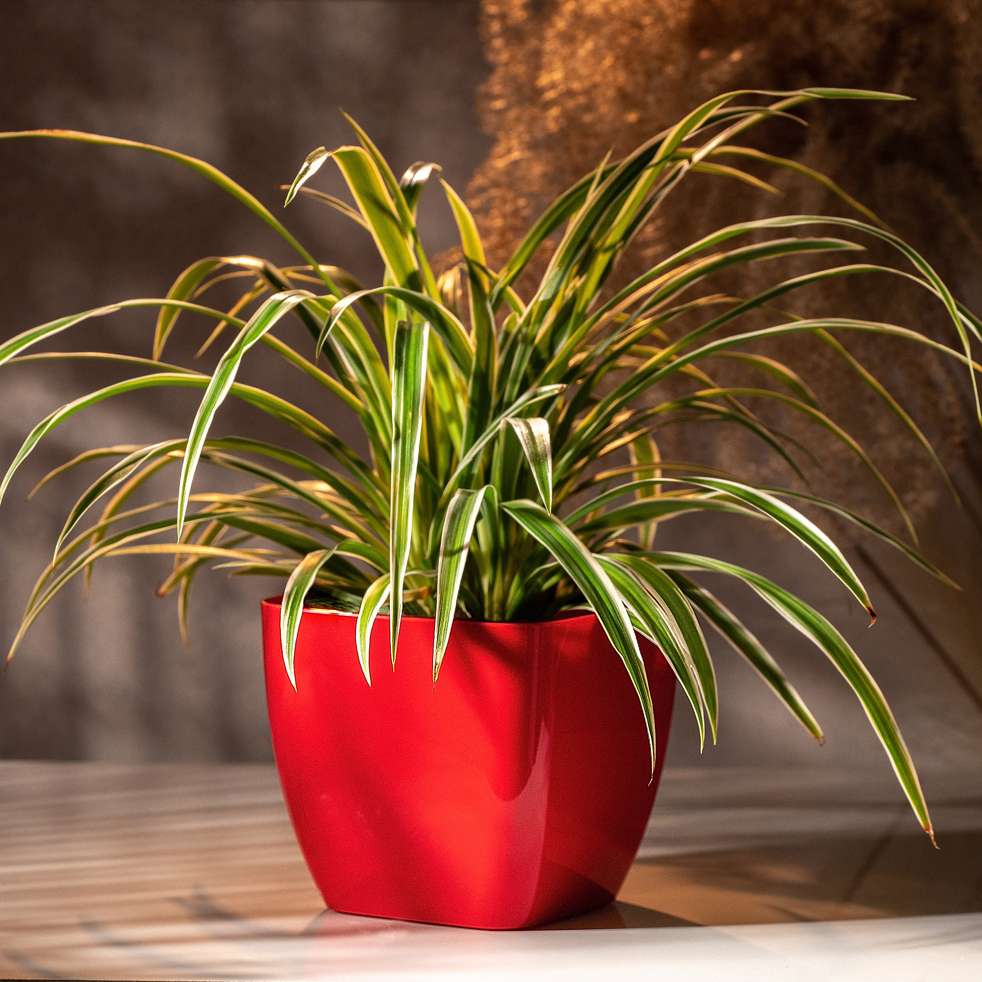 Doniczka kwadratowa Borgo 8 cm, czerwona