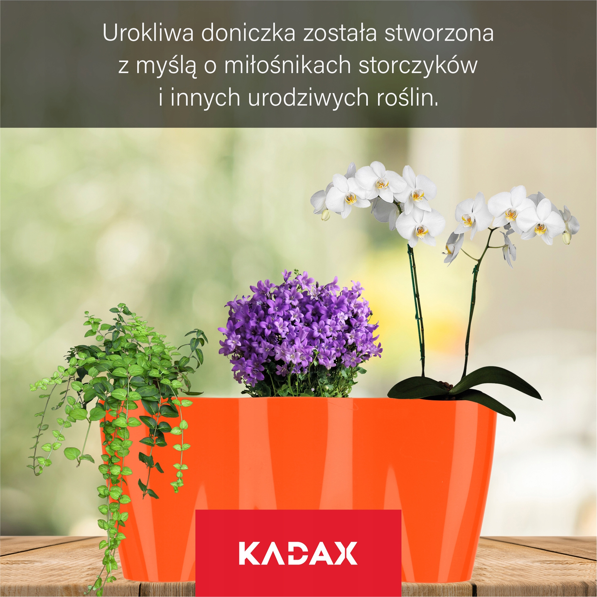 Doniczka do storczyków potrójna Fermo 35 x 15 cm, pomarańczowa