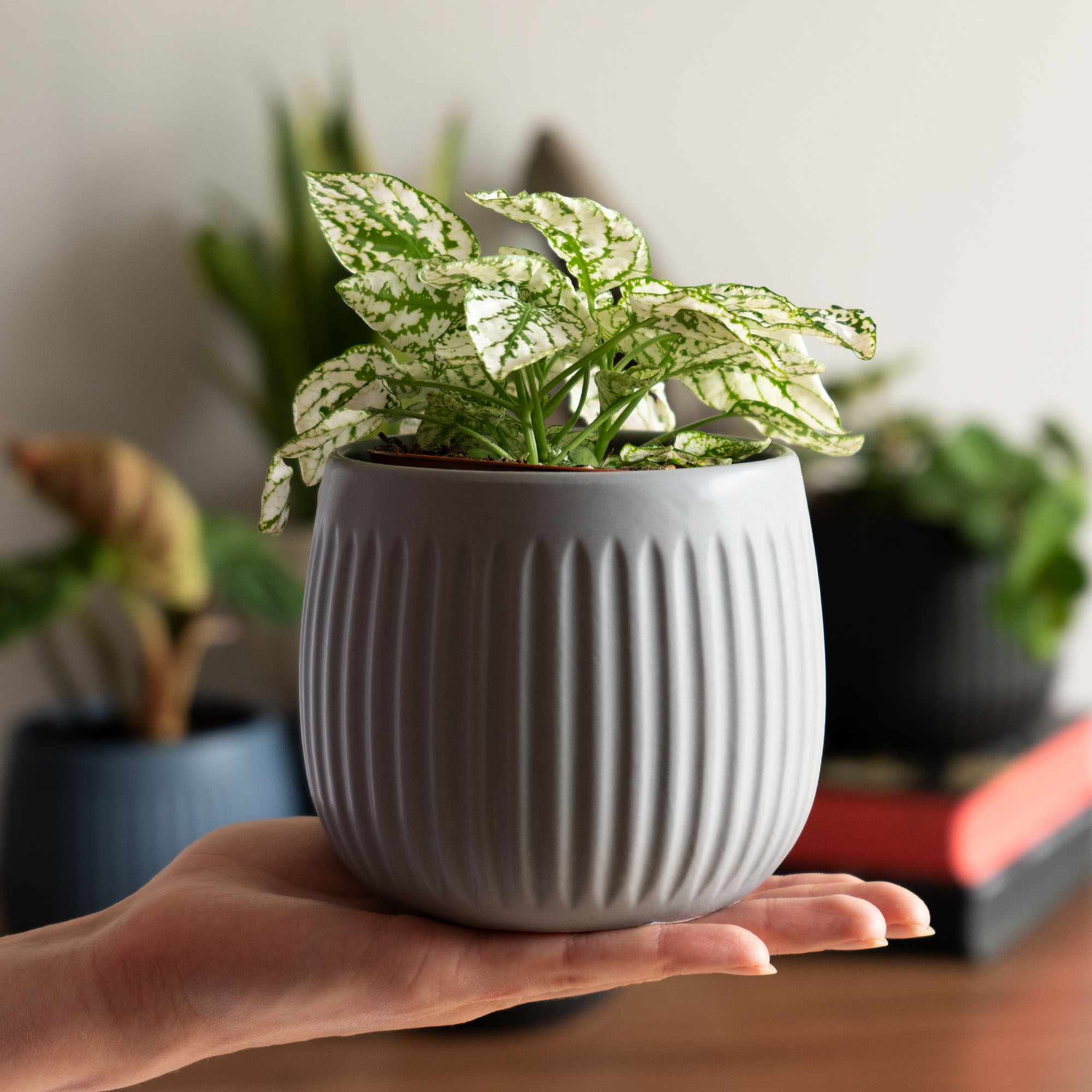Osłonka cermaiczna Vario 12 cm, szara
