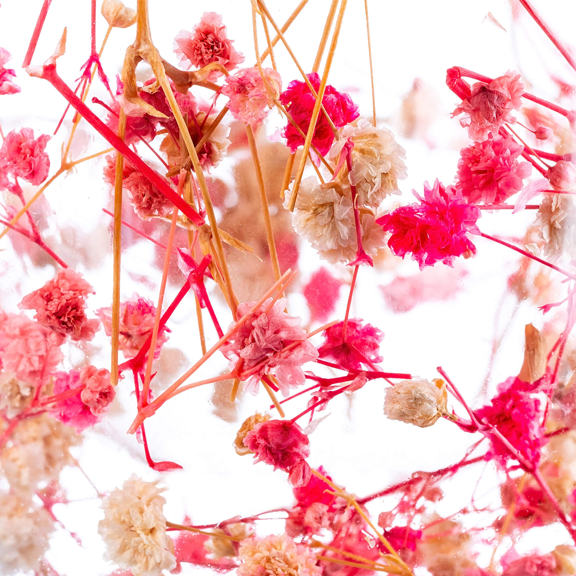 Kubek termiczny z kwiatowym motywem Riga 350ml różowy 4 szt.