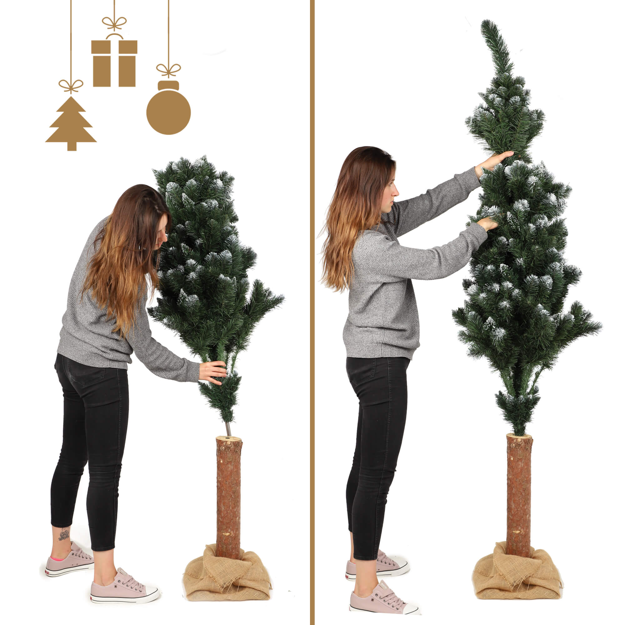 Choinka na pniu sosna diamentowa Roana 180 cm