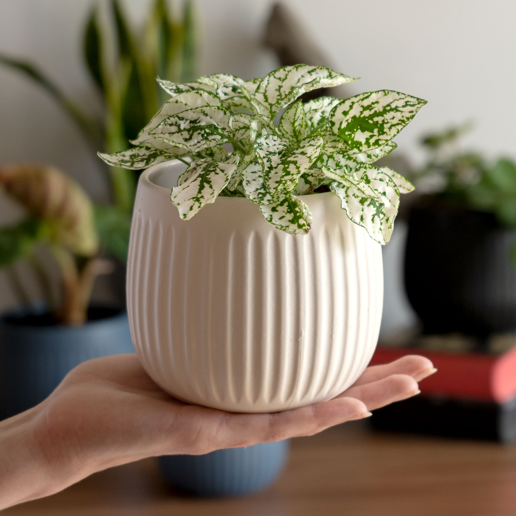 Osłonka ceramiczna Vario 12 cm, biała