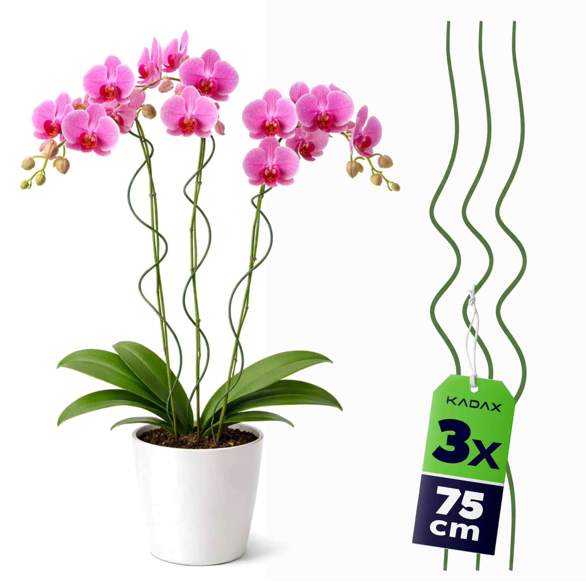 Tyczka spiralna do roślin Grimone 75 cm zielona 3 szt.