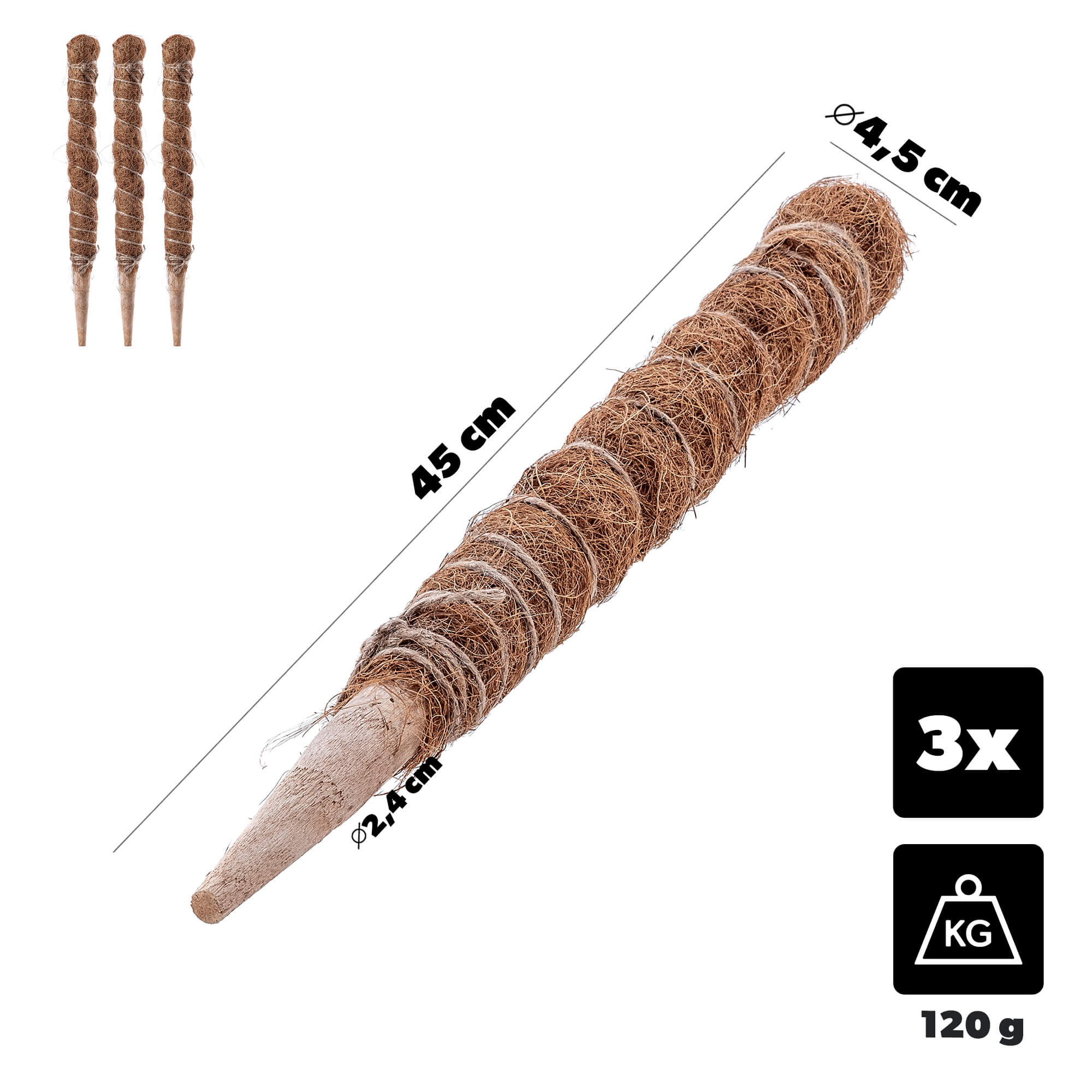Tyczka do roślin kokosowa Cande 45 cm podpora doniczkowa 3 szt.