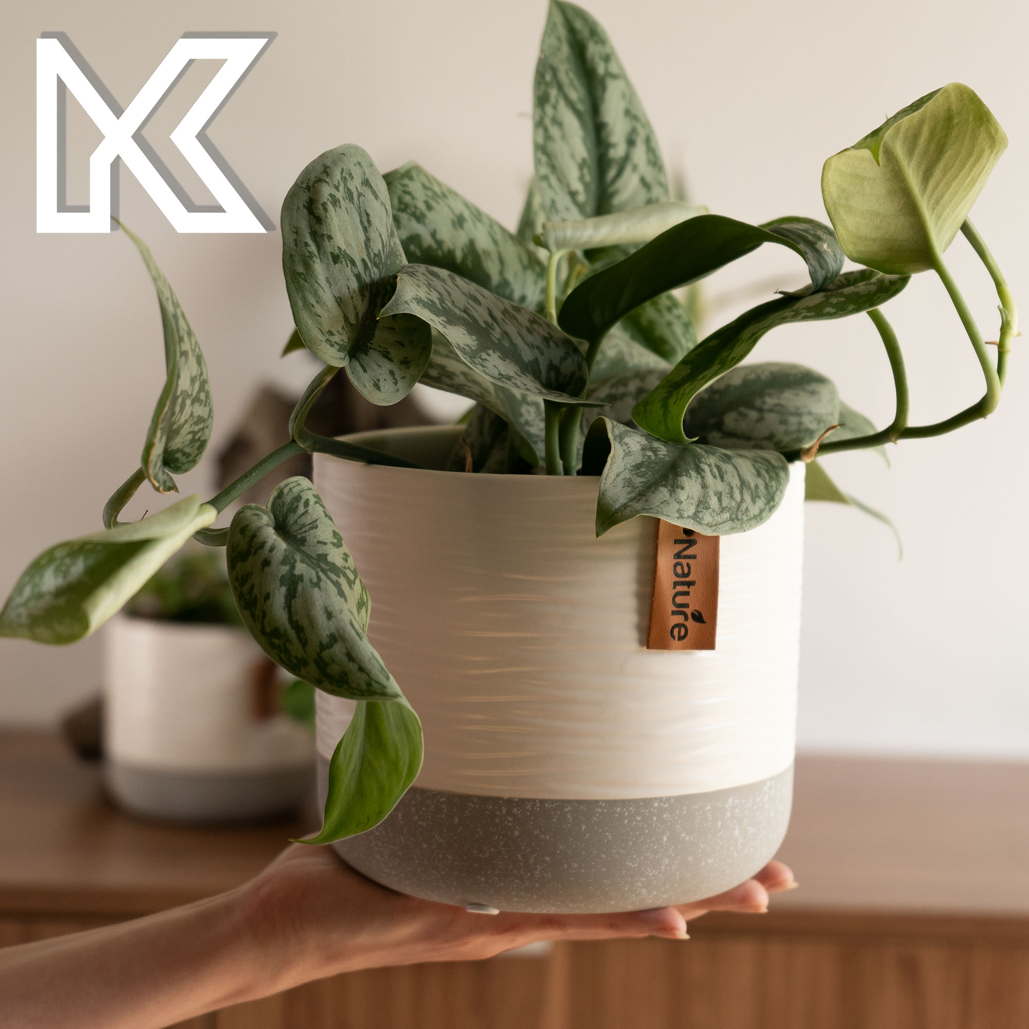 Osłonka ceramiczna Pokka 14 x 15 cm, biała