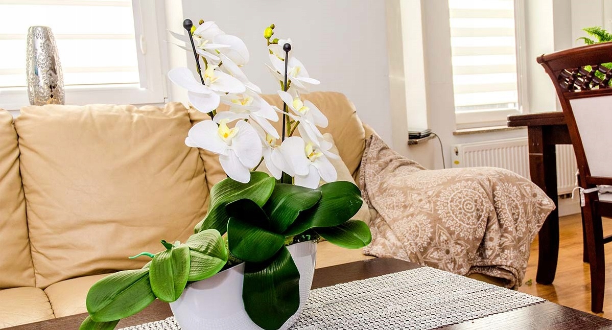 Podpora do storczyków Sylte 50 cm, 10 szt. kółko