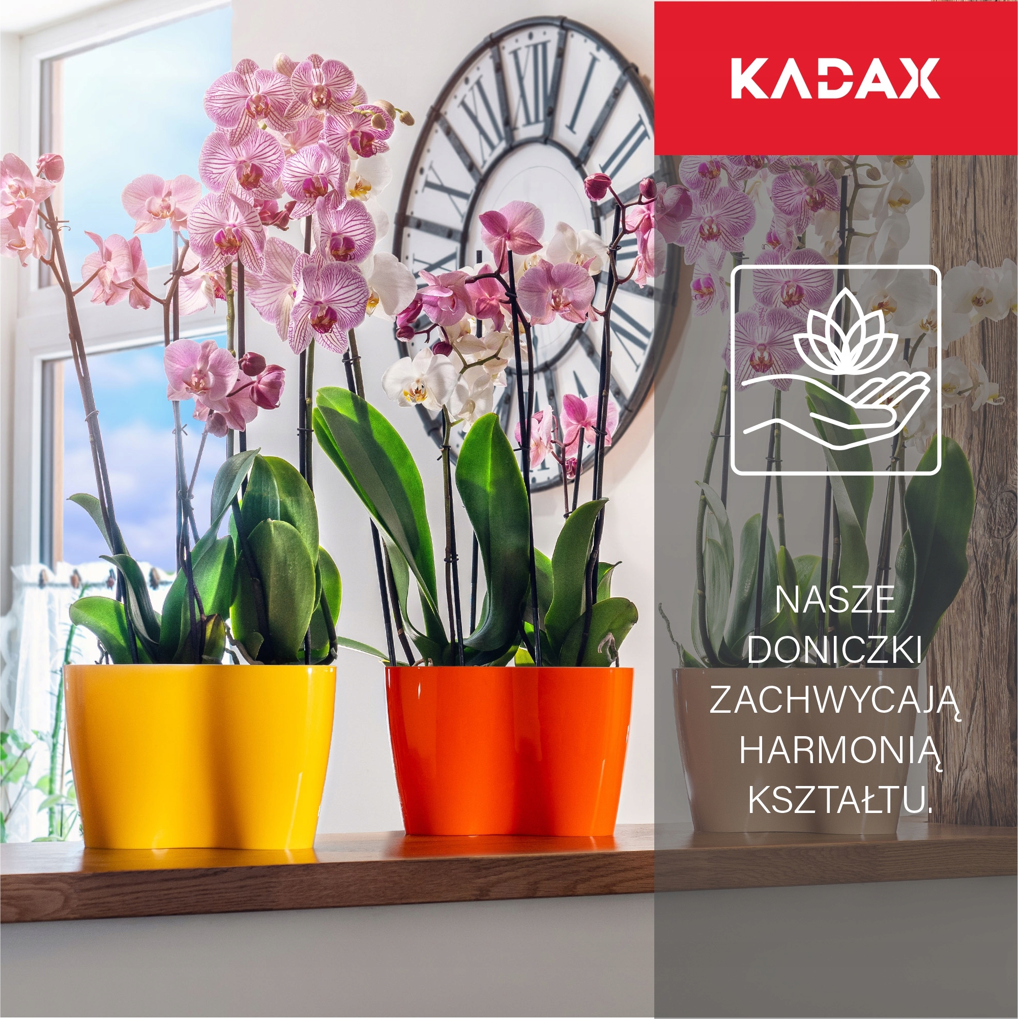 Doniczka do storczyków podwójna Fermo 23 x 15 cm, żółta