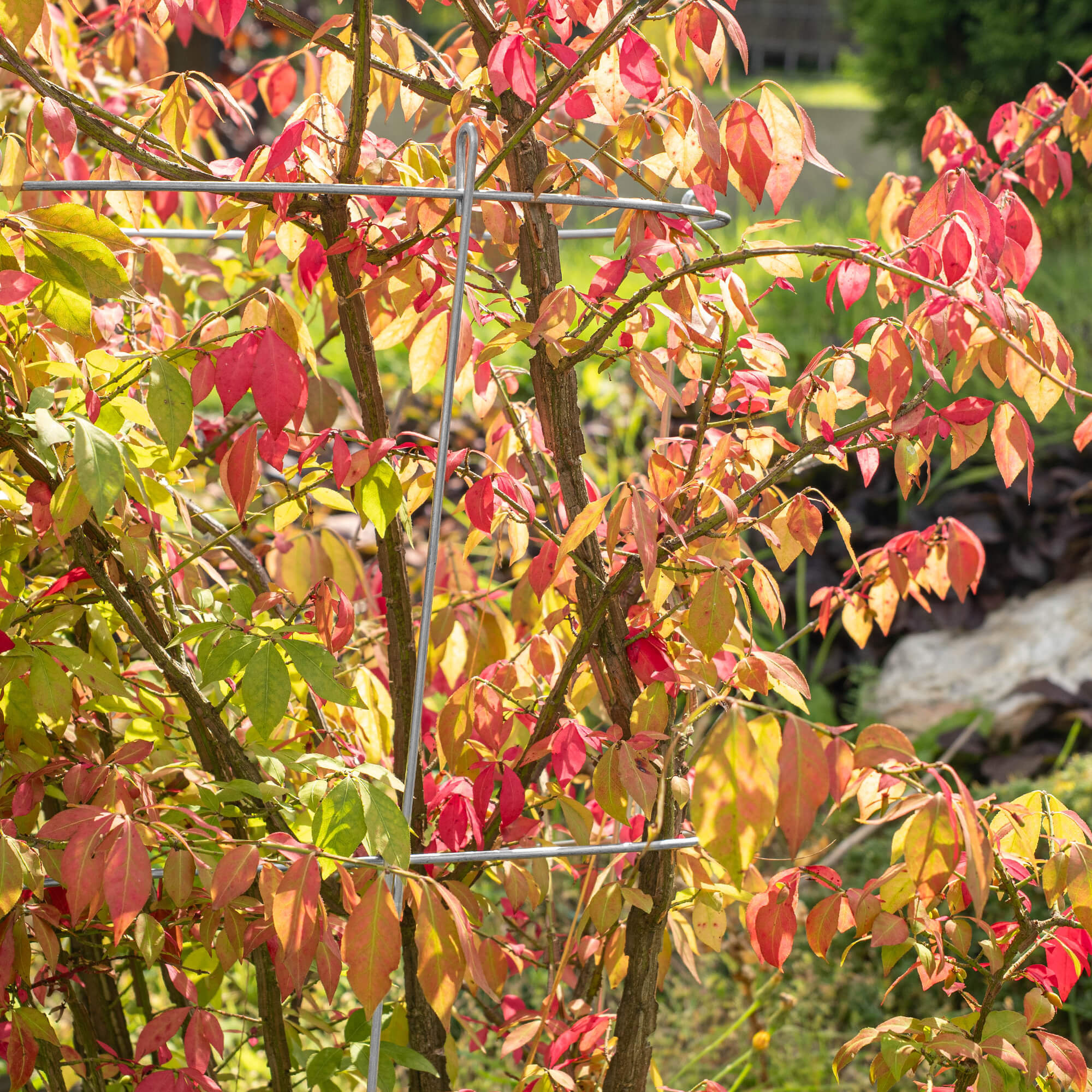 Podpora ogrodowa do roślin 90 cm