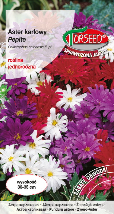 Aster karłowy Pepite - Callistephus chin. fl.pl. mieszanka 1g