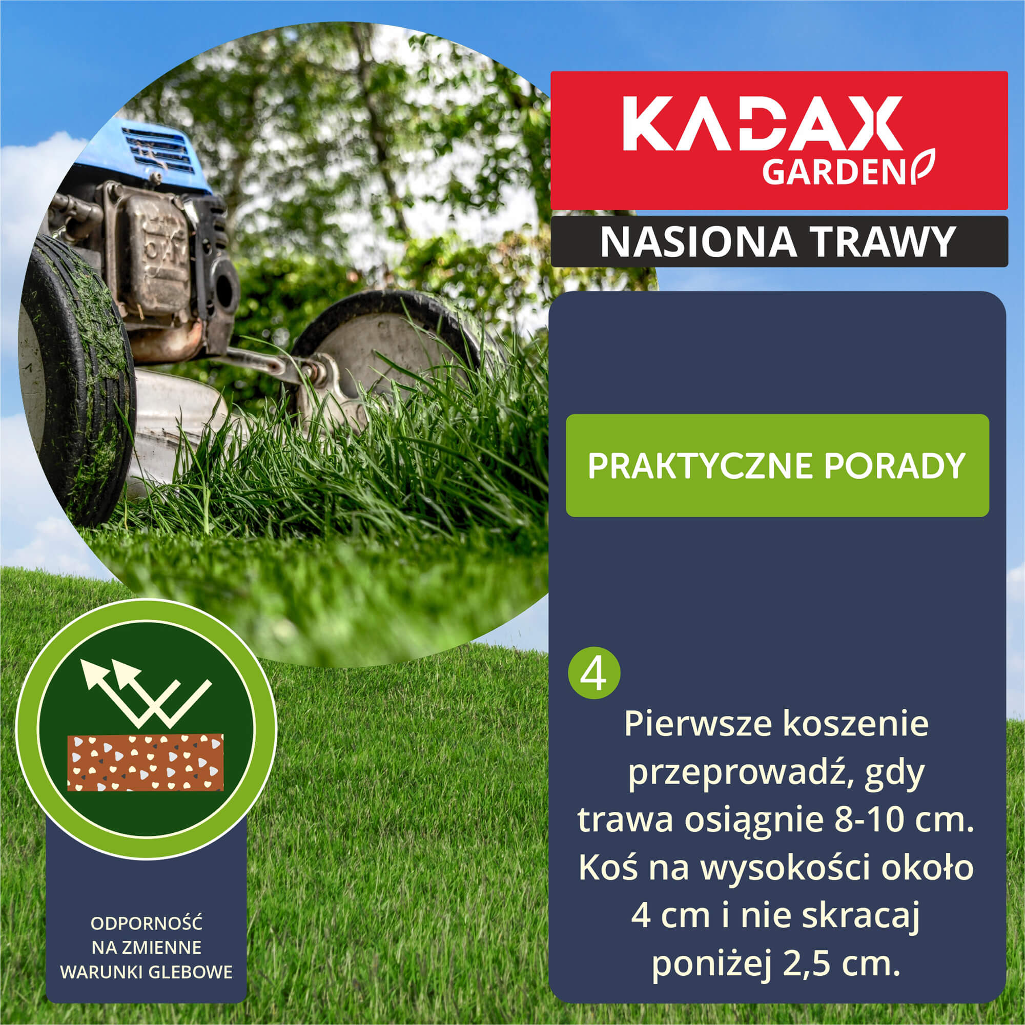 Trawa ozdobna 15 kg