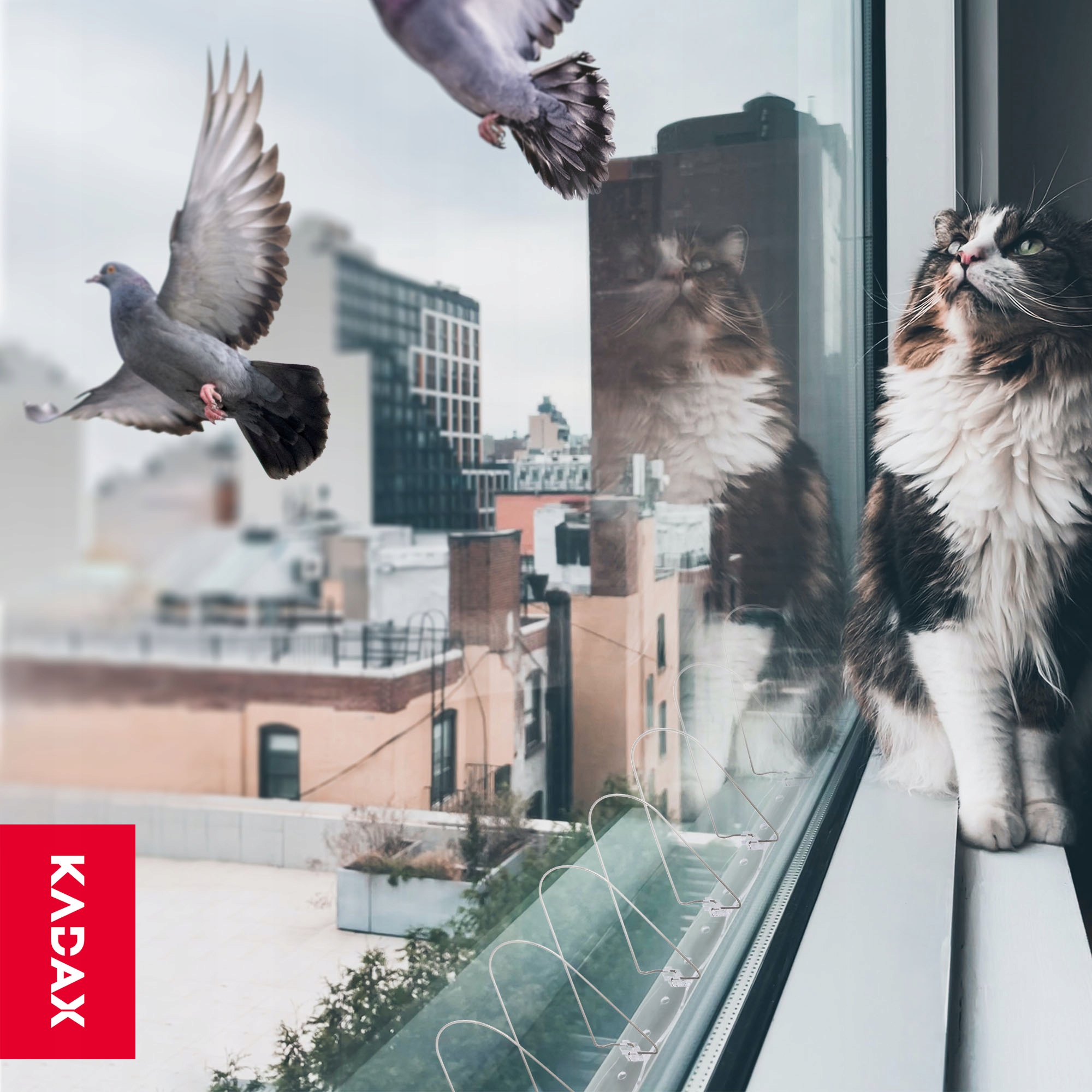 Spirale na ptaki 33 x 9 cm, 1 szt.