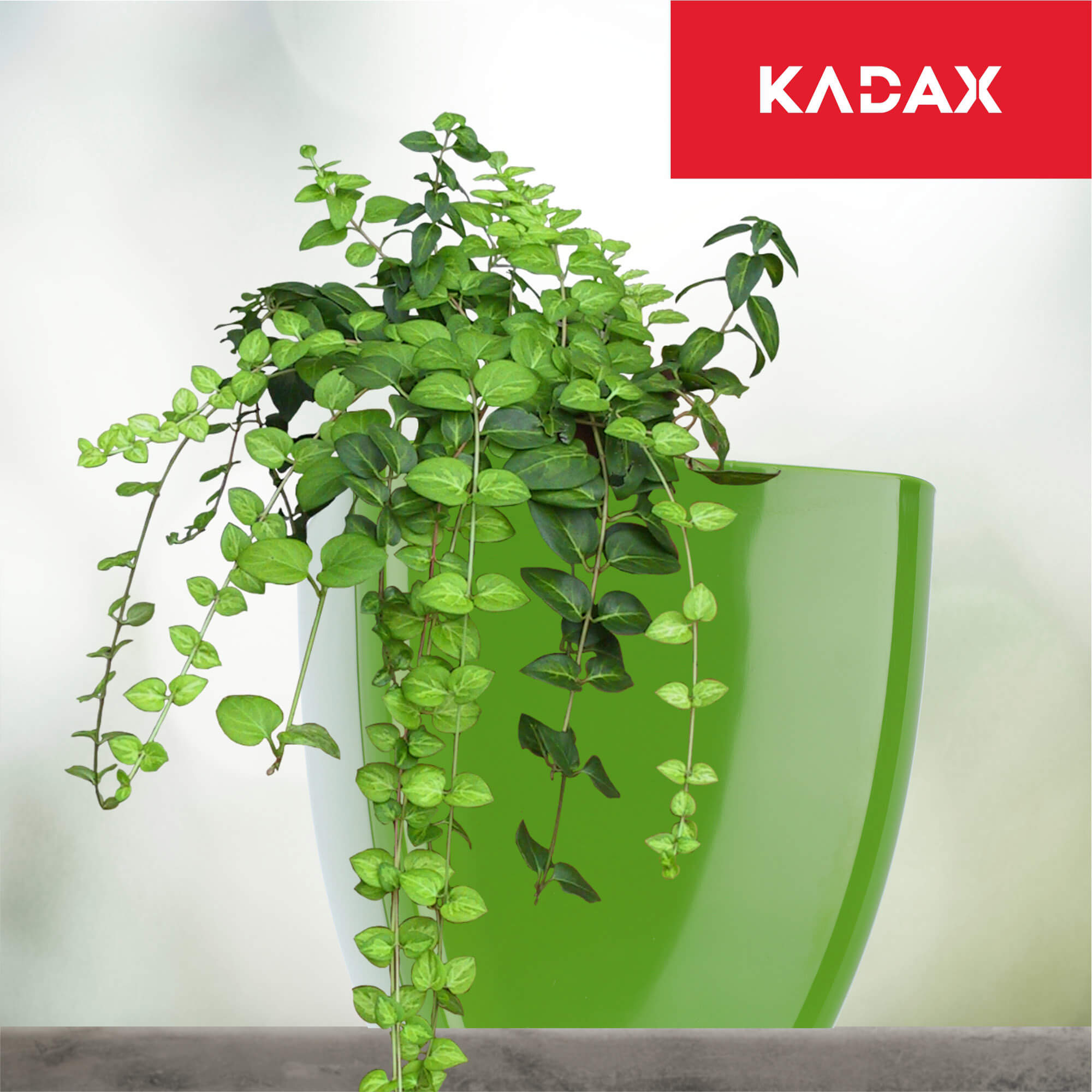 Doniczka kwadratowa Borgo 8 cm, zielona