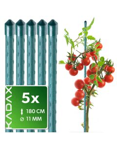 Podpora ogrodowa tyczka do roślin Trang 180cm 11mm 5szt
