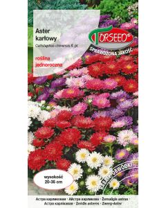 Aster chiński karłowy - Callistephus chin. fl.pl. mieszanka 1g