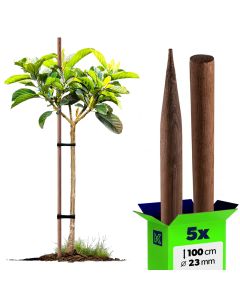 Podpora do roślin drewniana Utre palik impregnowany 23 mm x 100 cm 5 szt.