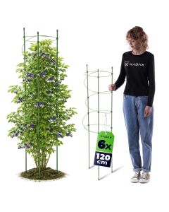 Spiralna podpora do roślin Apremont 120 cm zielona 6 szt.