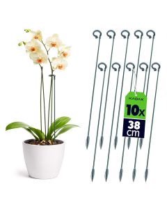 Podpora do roślin Condat 38 cm zielona 10 szt.