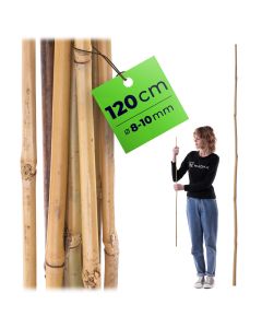 Bambusowa podpora ogrodowa Rai 120 cm x 8-10 mm 1 szt.