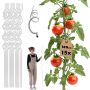 Tyczka spiralna do roślin Lestre aluminiowa 180 cm 15 szt.