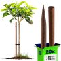 Podpora do roślin drewniana Utre palik impregnowany 23 mm x 80 cm 20 szt.
