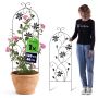 Podpora ogrodowa Unverre 120 x 40 cm liście 1 szt.