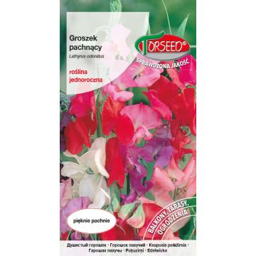 Groszek pachnący - Lathyrus odoratus mieszanka 4g