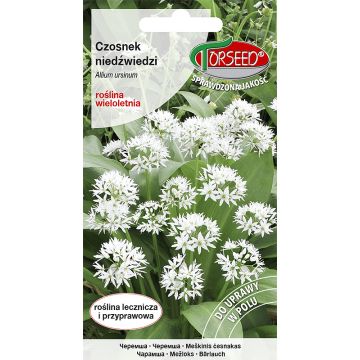 Czosnek niedźwiedzi Allium ursinum 0,5g