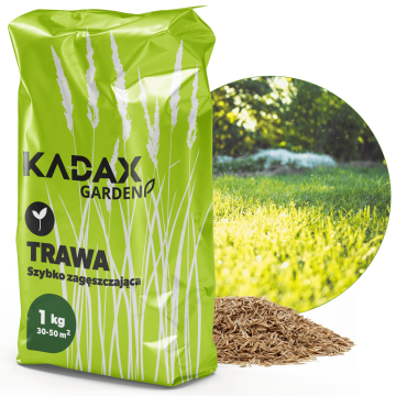 Trawa uniwersalna Riset szybko zagęszczająca 1 kg 50 m2