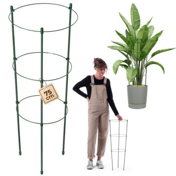 Metalowa podpora do roślin Bodiel 75 cm 1 szt.