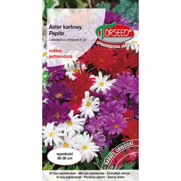 Aster karłowy Pepite - Callistephus chin. fl.pl. mieszanka 1g