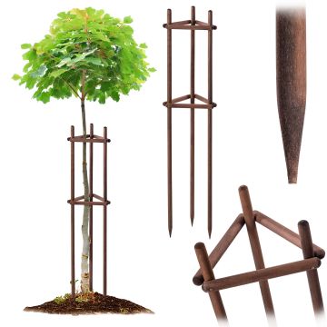 Podpora ogrodowa trójnóg Redon 150 cm drewniana brązowa